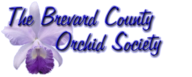 Brevard County Orchid Society