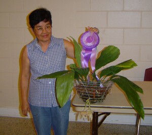 August 2008 Plant Table Winner 