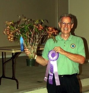 January 2009 Plant Table Winner 