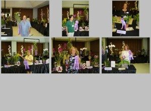 2009 Fall Orchid Fair Winners