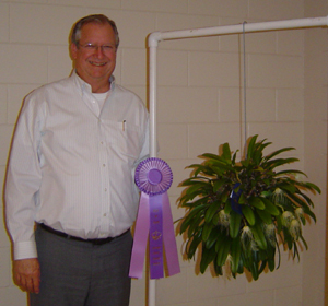 November 2010 Plant Table Winner 