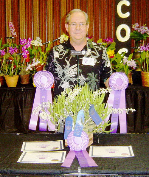 Best in Show, Best Dendrobium and Culture Award Winner