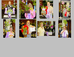 2010 Fall Orchid Fair Winners