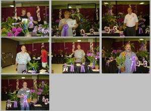 2008 Fall Orchid Fair Winners